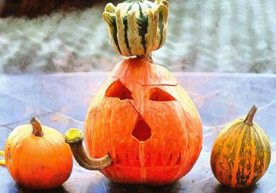 pumpkin, vegetable, celebration, Pumpkin  - halloween, free photos, free images, free stock photos, public domain images, stock free images, download free images  