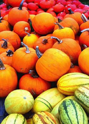 carved pumpkin, head, vegetable, flame, holiday, event, candle, celebration, Pumpkin  - halloween, free photos, free images, free stock photos, public domain images, stock free images