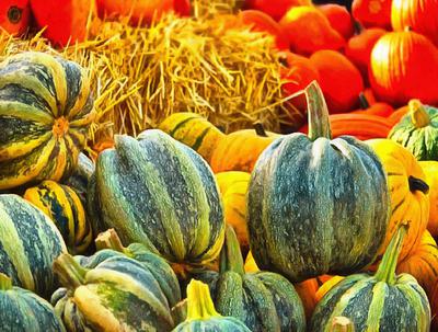 hay, vegetables, harvest, pumpkin, thanksgiving, holiday, 