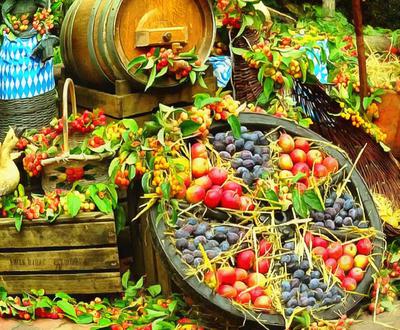 crop, apples, holiday, fruit, wealth, summer,