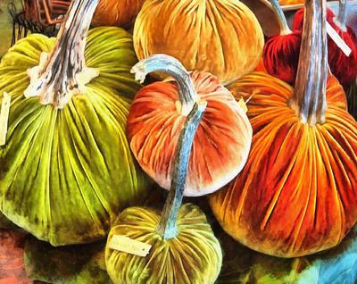 pumpkin Garbuz, vegetables, harvest,