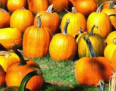 halloween, horror, skary, all Saints Day, celebration, Pumpkin  - halloween, free photos, free images, free stock photos, public domain images, stock free images, download free images  