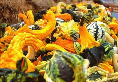 pumpkin, holiday, celebration, halloween, - halloween, free stock photos, public domain images, stock free images, download for free  pumpkin, holiday, celebration, halloween, - halloween, free stock photos, public domain images, stock free images, download for free