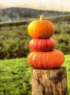 pumpkin, holiday, lots of pumpkins, garden, spooky, trick or treet, halloween -  stock free photos, public domain images, download free images, free stock images, public domain 