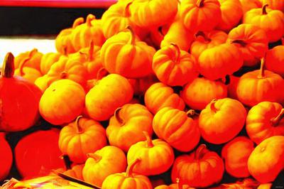 pumpkin, wheelbarrow, cart, trade, tray, stall, holiday, lots of pumpkins, garden, spooky, halloween -  stock free photos, public domain images, download free images, free stock images, public domain