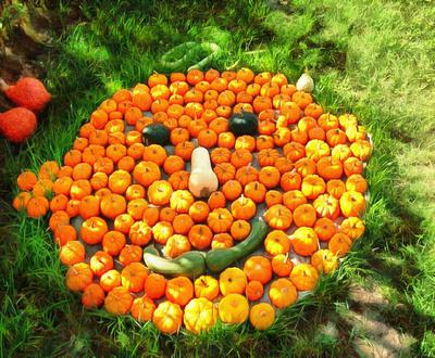 pumpkin, holiday, head, smile, vegetables, fun, - halloween, holiday, free images, public domain images, free stock images, download images, free pictures