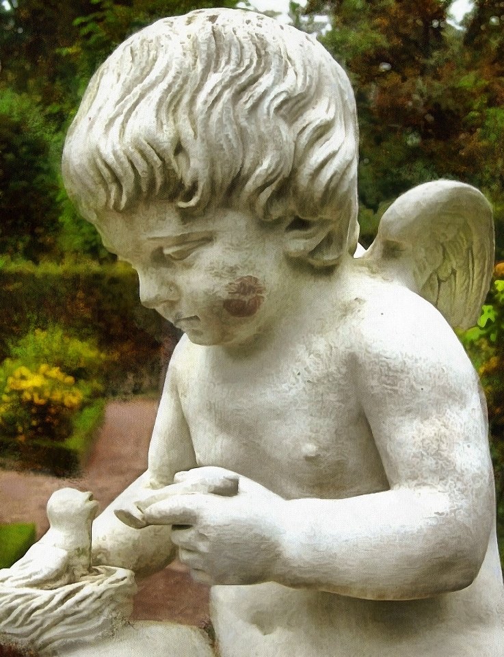 Angel, Angel images, Images of Angel, Angel photo, angel picture, stock free images of angels - Download angels public domain images, free angel images, download stock free images!