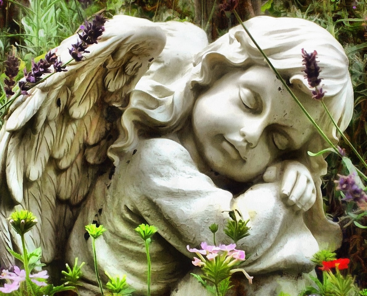 Angel, Free angel images, stock free images of angels, Images of Angel, Angel photo, angel picture, - Download angels public domain images, free angel images, download stock free images!