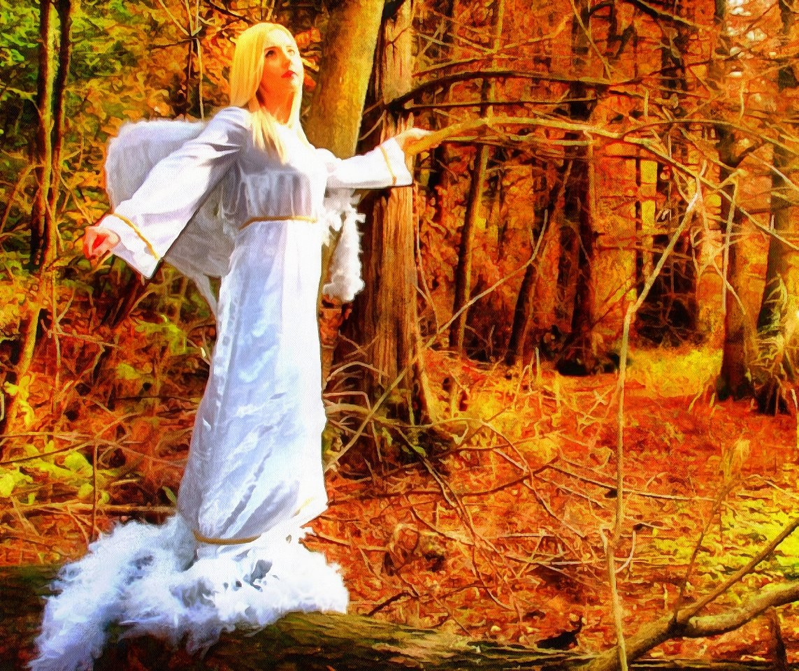 Angels, angel picture, stock free images of angels, Free angel images, Images of Angel, Angel photo,  - Download angels public domain images, free angel images, download stock free images!