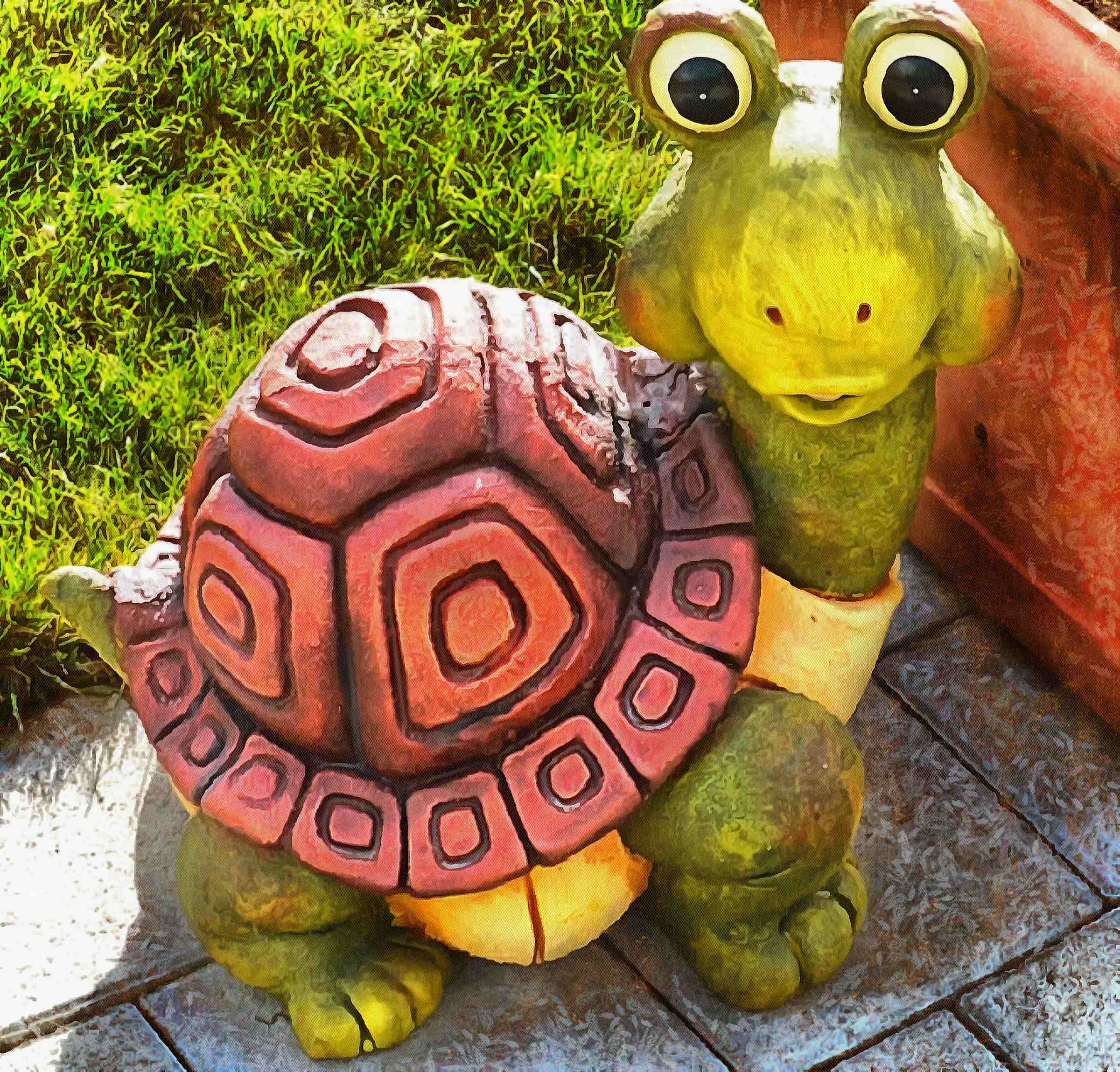 Turtle free images, tortoise free images, chelonian, leatherback, loggerhead, turtle, tortoise – Turtle free images, Tortoise free images, Turtle stock free images, Download free images turtles, turtle public domain images, tortoise public domain images!