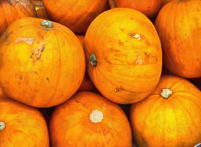  pumpkin, muzzle, carved, celebration, joy, carnival, smile, face, Halloween,  - halloween, free image, free picture, stock free images, public domain images, download free photos, free stock photos 