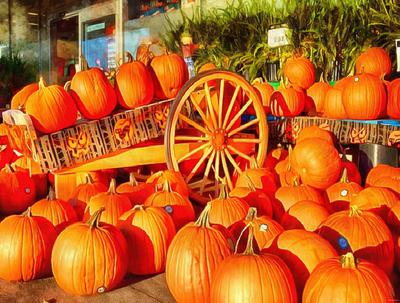 pumpkin, wheelbarrow, cart, trade, tray, stall, holiday, lots of pumpkins, garden, spooky, halloween -  stock free photos, public domain images, download free images, free stock images, public domain