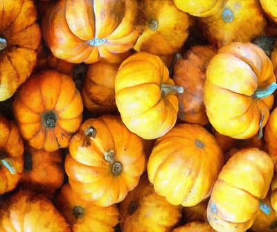 vegetables, harvest, pumpkin, thanksgiving, holiday, 